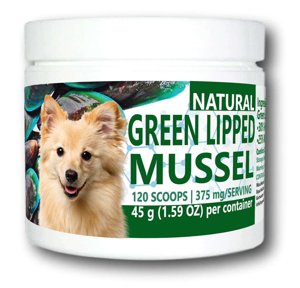 Green Lipped Mussel Powder Joint Supplement