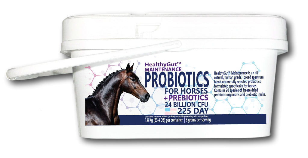 HealthyGut™ Probiotics for Horses: Maintenance
