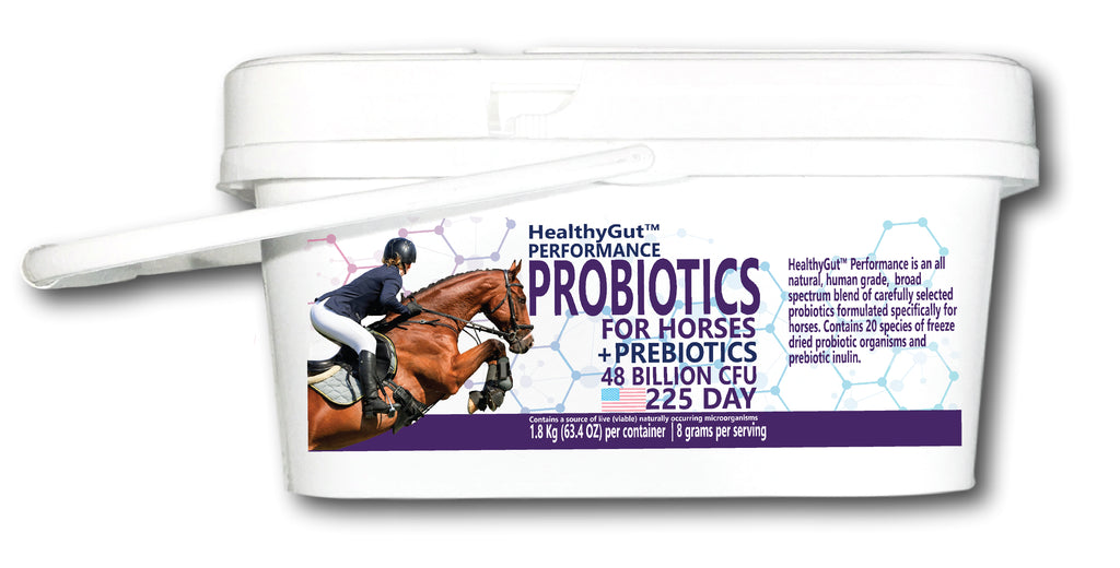 HealthyGut™ Probiotics for Horses: Performance