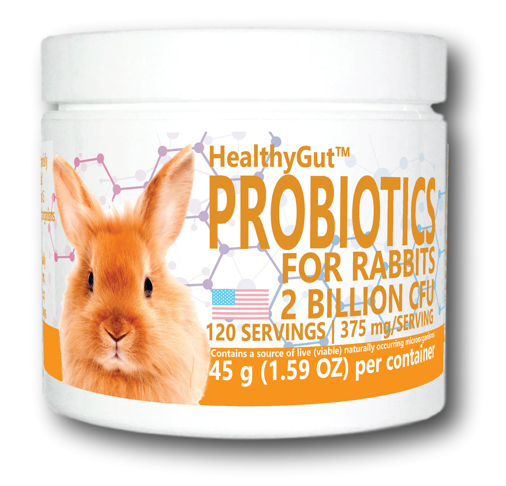 HealthyGut™ Probiotics for Rabbits – Equa Holistics