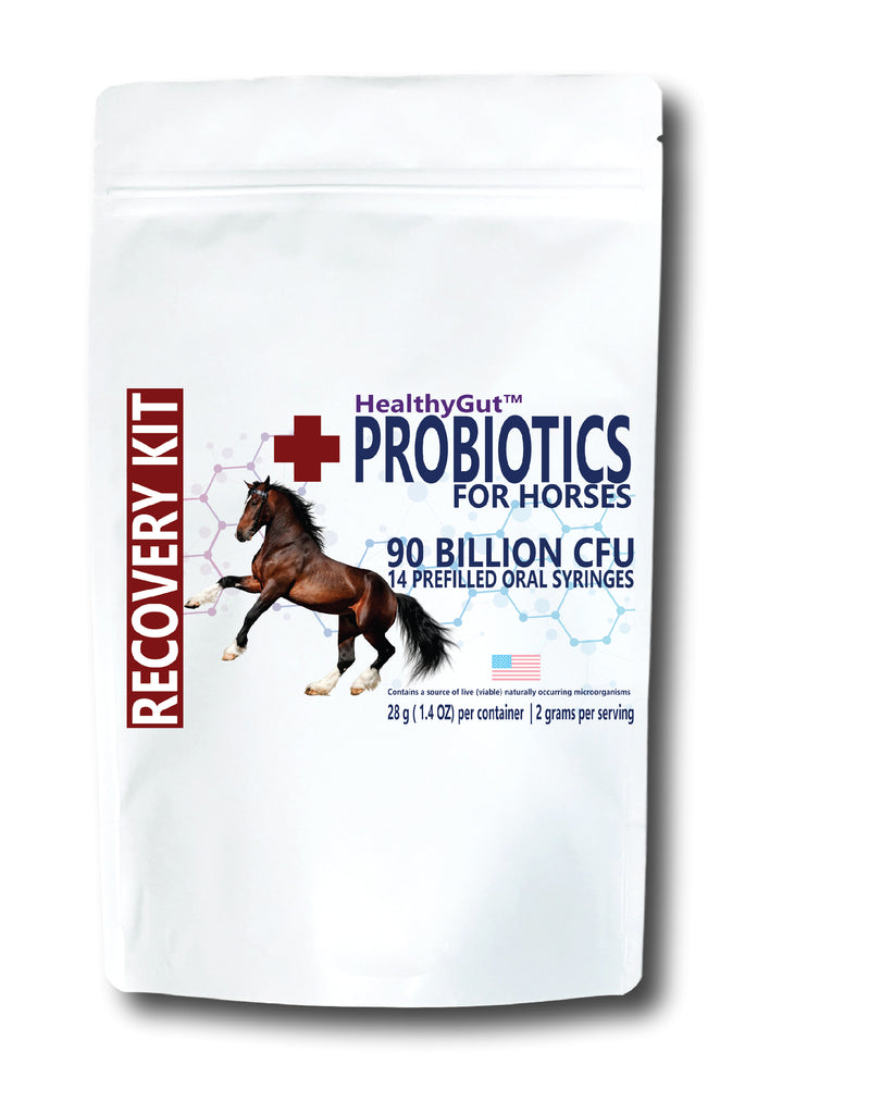HealthyGut™ Probiotic Recovery Kit for Horses